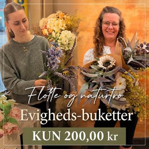 opslagsbillede