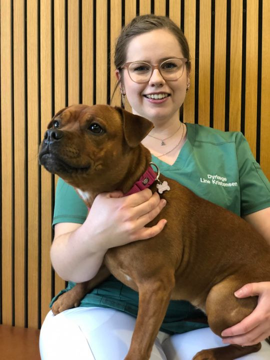 Opdatér dig her: Det nyeste fra Herning