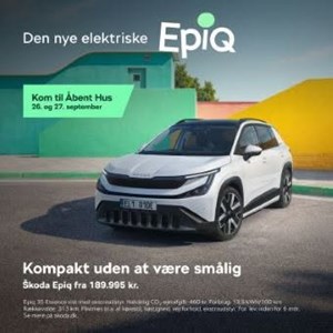 opslagsbillede