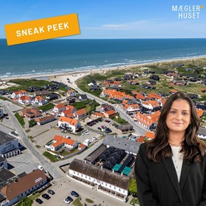 opslagsbillede