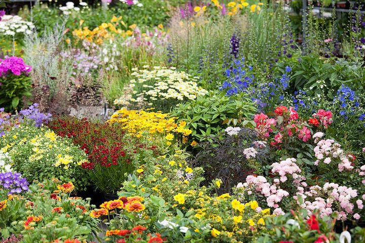 Nyt på opslagstavlen i Brønderslev