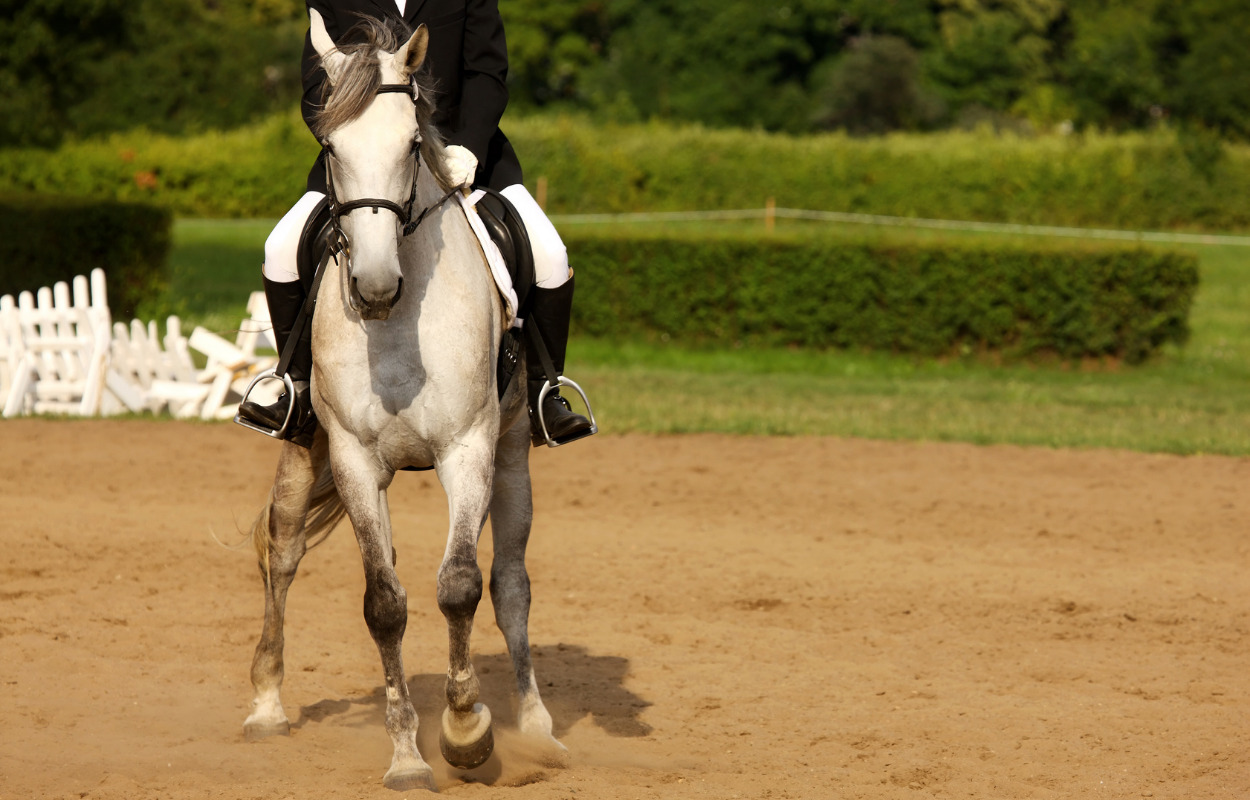 Rideklubben Snegla fejrer 40-års jubilæum