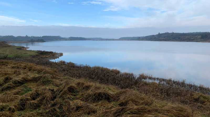 Oplev naturen omkring Stubbergård Sø med Dansk Vandrelaug