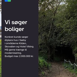 Opslagsbillede