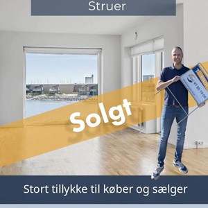 Opslagsbillede