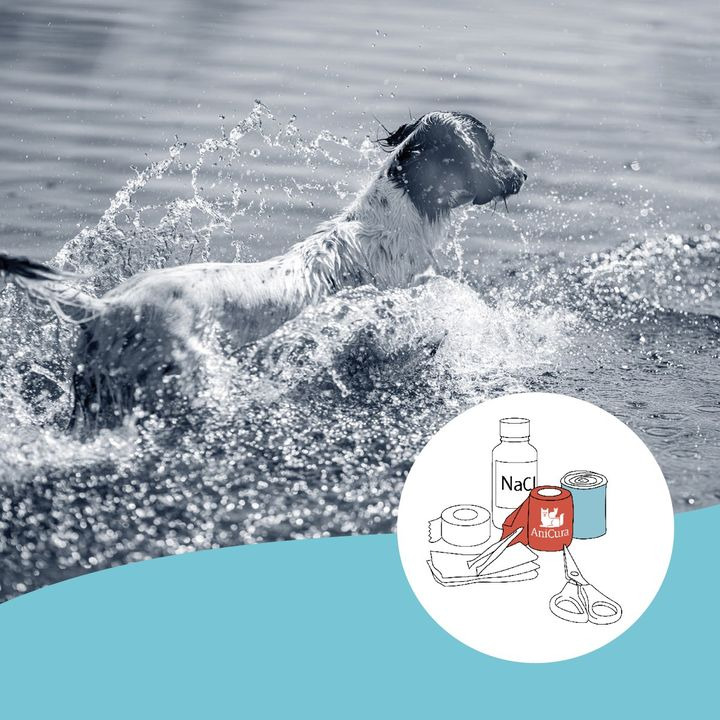 Det nyeste på Hjørrings opslagstavle