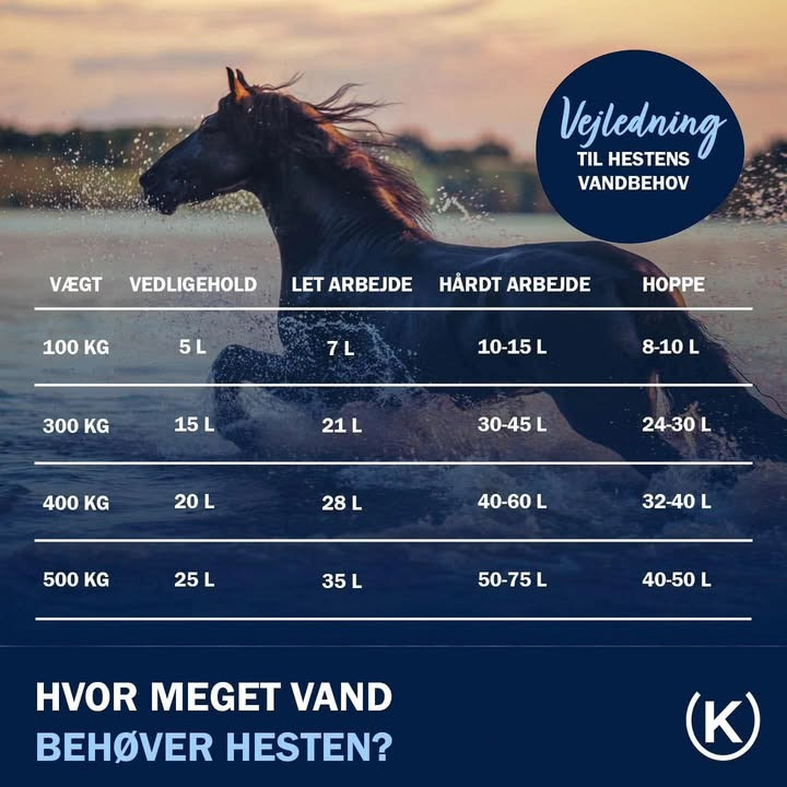 HESCA minder om vandets betydning for heste og ryttere i sommervarmen