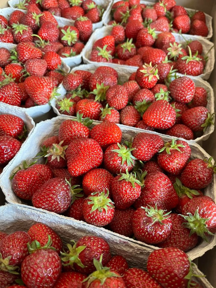 Opdatér dig her: Det nyeste fra Horsens