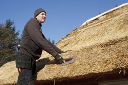 Vaides fra Litauen bor i Vestjylland og er med til at skabe vækst i bæredygtigt tækkefirma – der får afdeling på Fanø