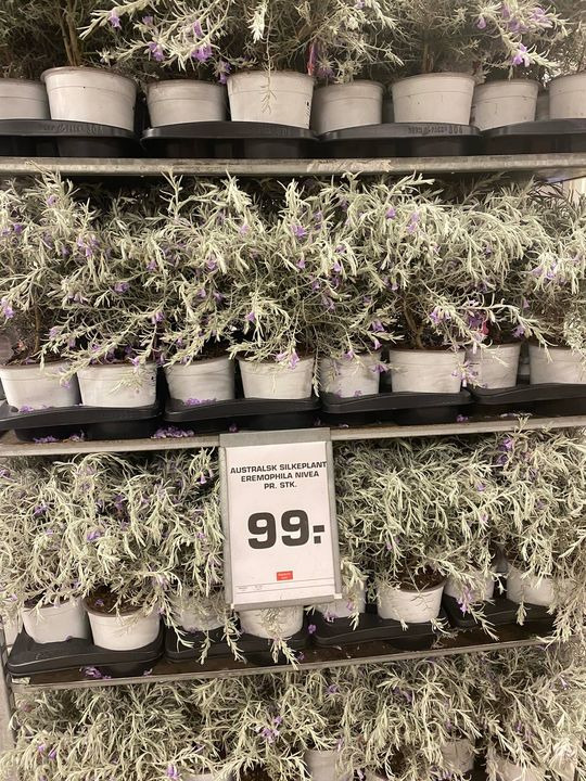 Hold trit med lokalområdet: Nyt fra Viby J