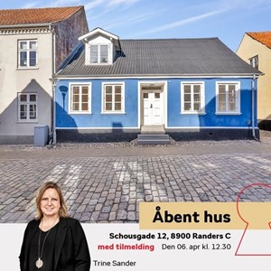 Opslagsbillede