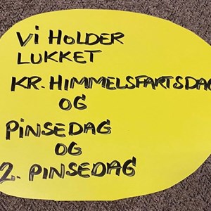 Opslagsbillede