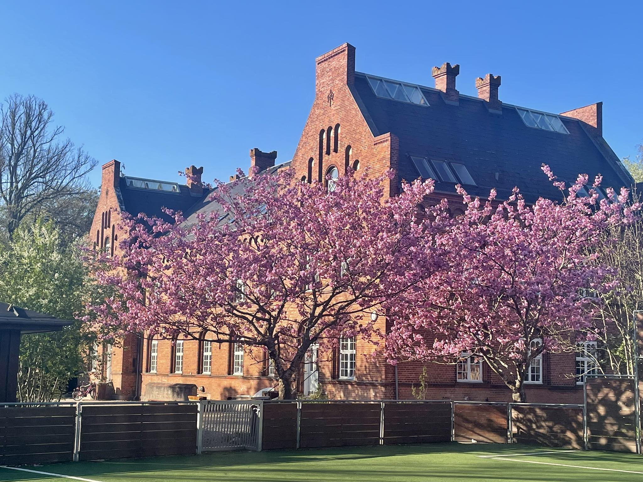 40 år med Odder lille Friskole fejres med stor reception
