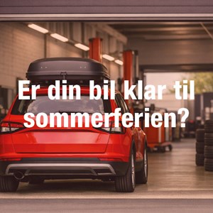 Opslagsbillede
