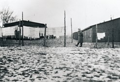 Tankevækkende foredrag om tyske flygtninge under besættelsen