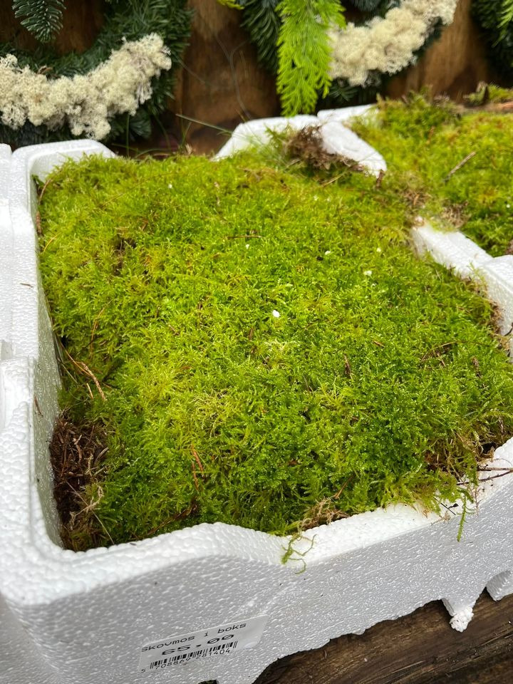 Se dagens updates fra Odder her