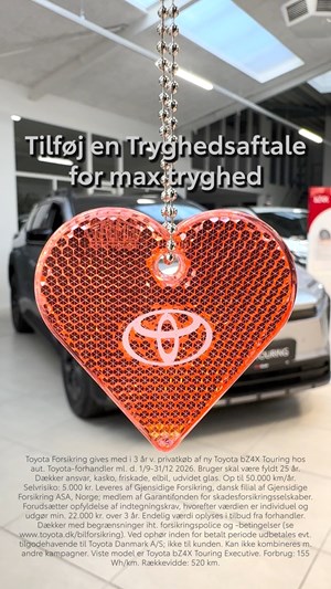 opslagsbillede