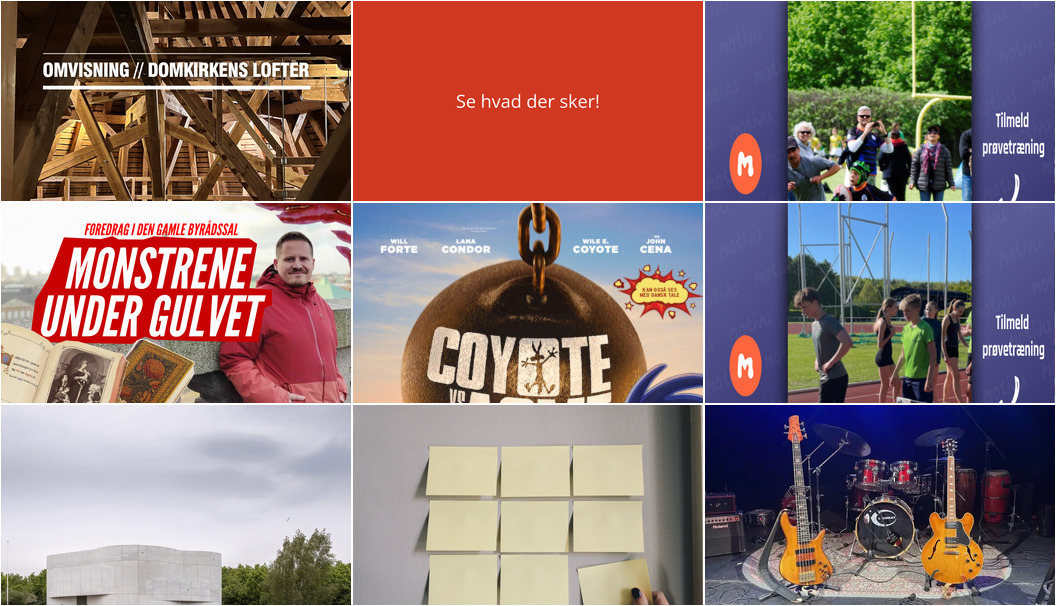 Oplev Roskildes Kulturrige Uge - Fra Historiske Rundvisninger til Livlige Jam Sessions