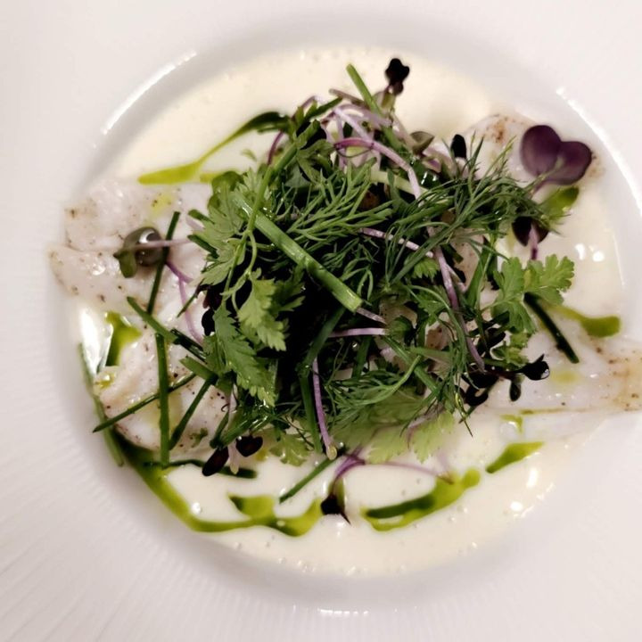 Opdatér dig her: Det nyeste fra Silkeborg