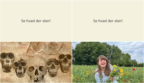 Udforsk menneskets evolution eller lær om håndarbejdets helbredende kraft i Ørsted denne uge