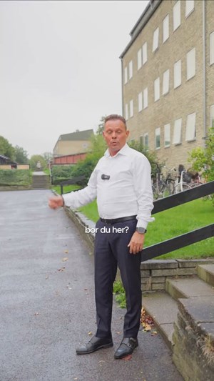 opslagsbillede
