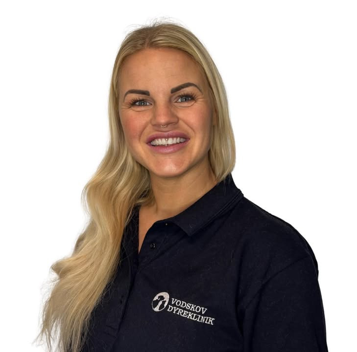 Vodskov Dyreklinik præsenterer ny dygtig hundefrisør Louise