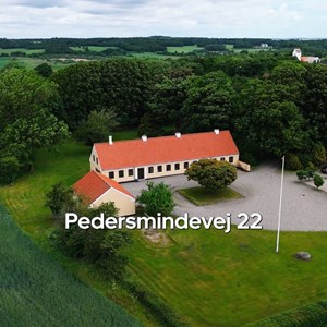 Opslagsbillede