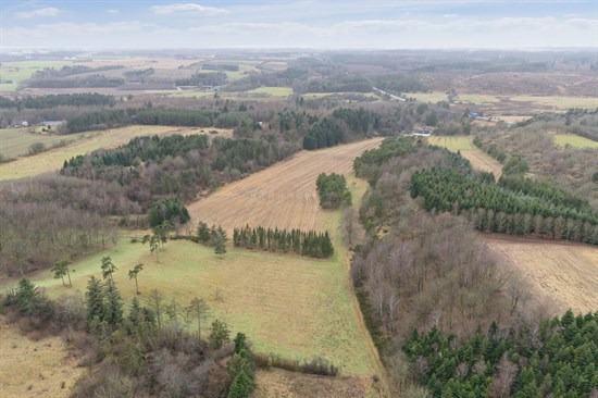 Top 6 over dyreste boliger til salg i Møldrup. Priser op til 5.995.000 kr