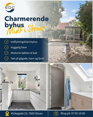 opslagsbillede