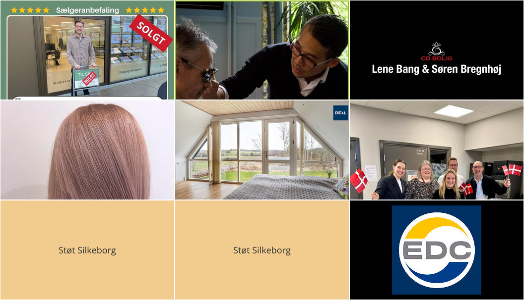 Nyt fra Dolphin Hotel Herning, BØGVAD, Realmæglerne Silkeborg v/Connie Halberg og 4 andre