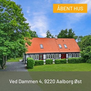 Opslagsbillede
