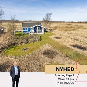 Opslagsbillede