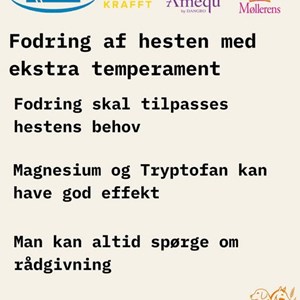 Opslagsbillede