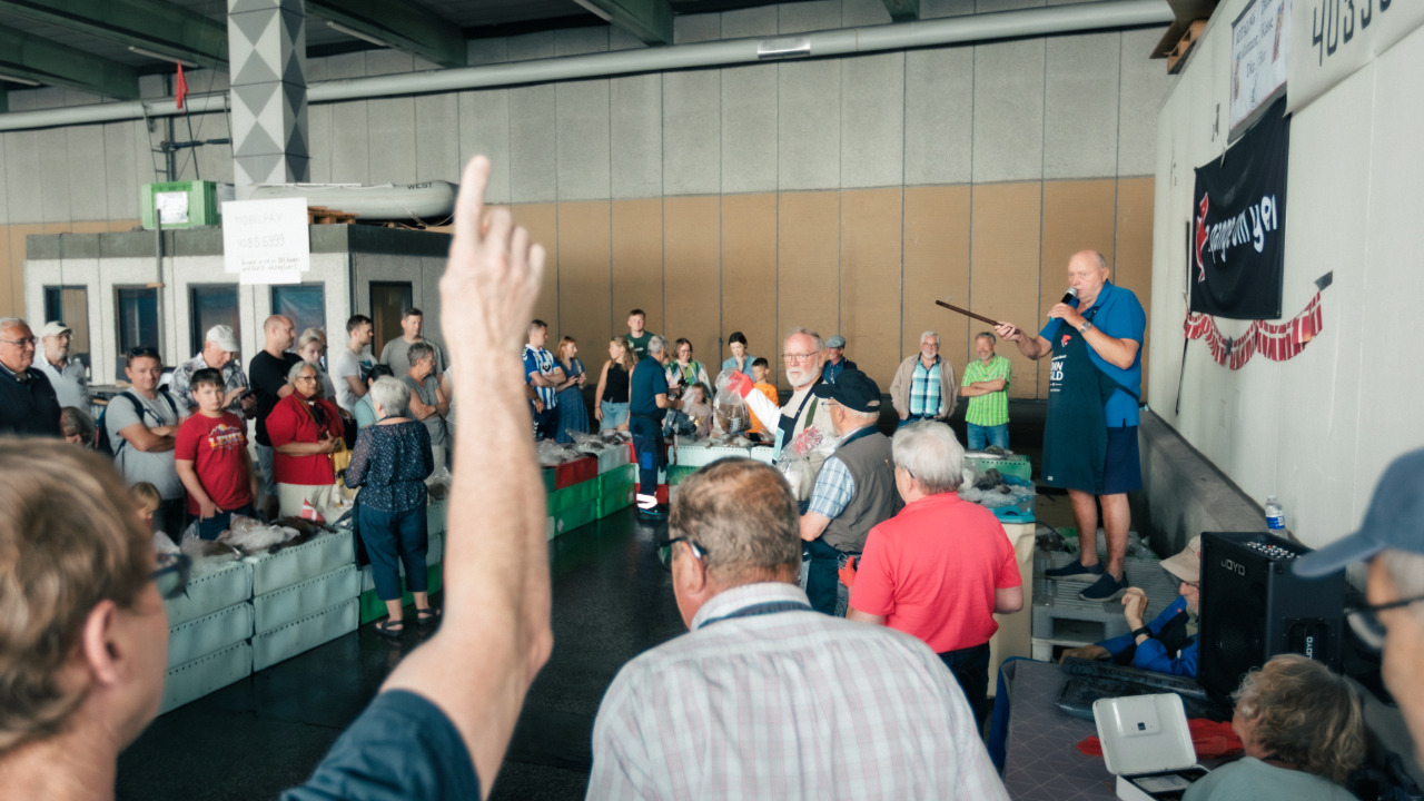 Oplev en autentisk fiskeauktion i Esbjergs gamle auktionshal