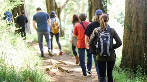 Naturelskere og litteraturentusiaster inviteres til unik vandring på Langeland
