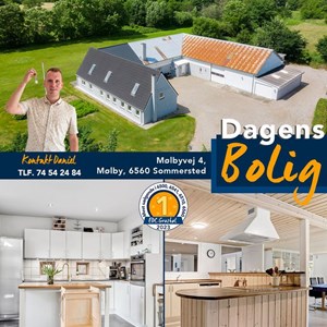Opslagsbillede