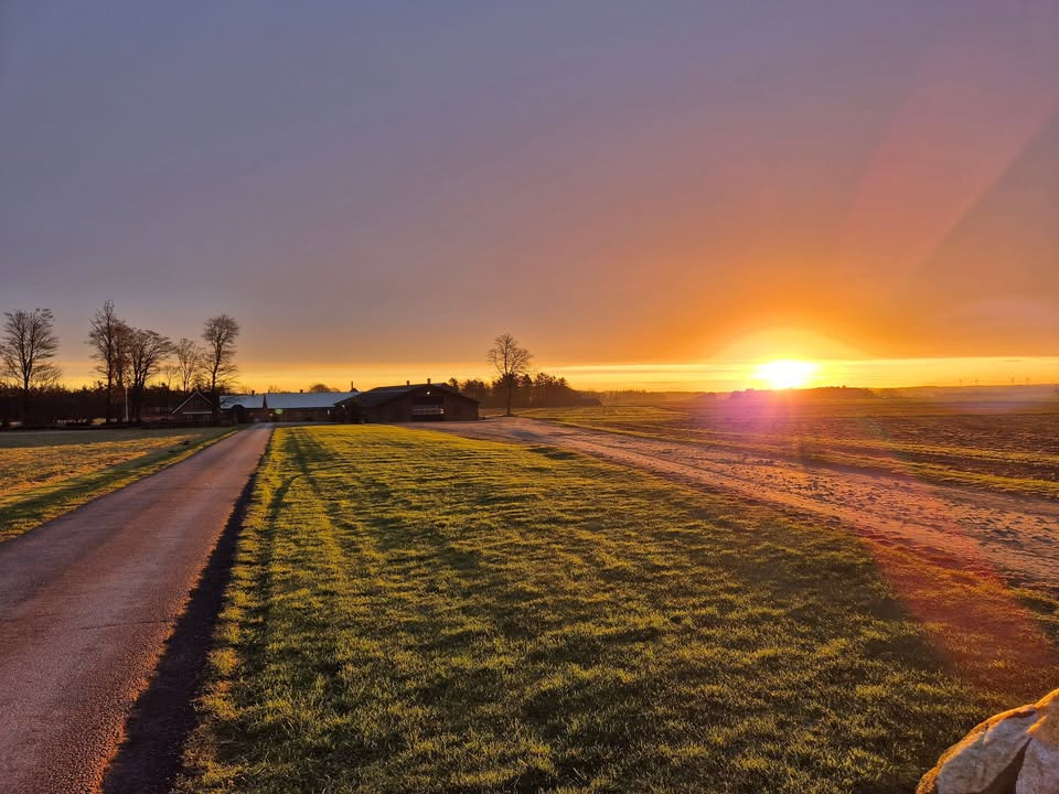 Jensen Jordbær fejrer dejlig morgen med risalamande-sovs og gavekurve i sortiment