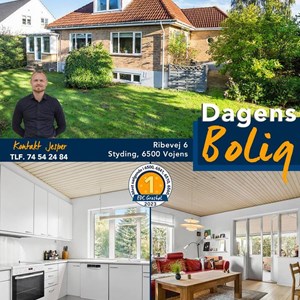 Opslagsbillede