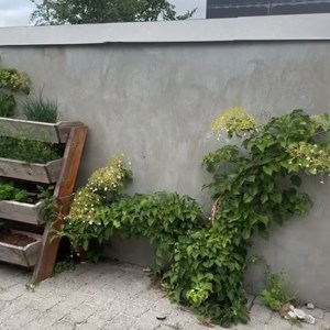 Opslagsbillede