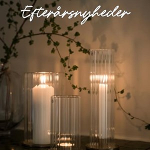 Opslagsbillede