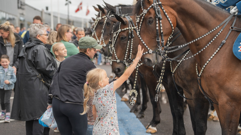 Næstved fejrer Flagdagen med ceremonier, parade og familieaktiviteter for at hædre veteraner og deres familier