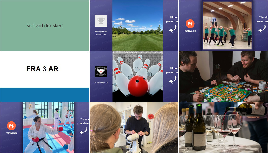 Oplevelser og aktiviteter i Kolding: Fra krolf og karate til vinfestival