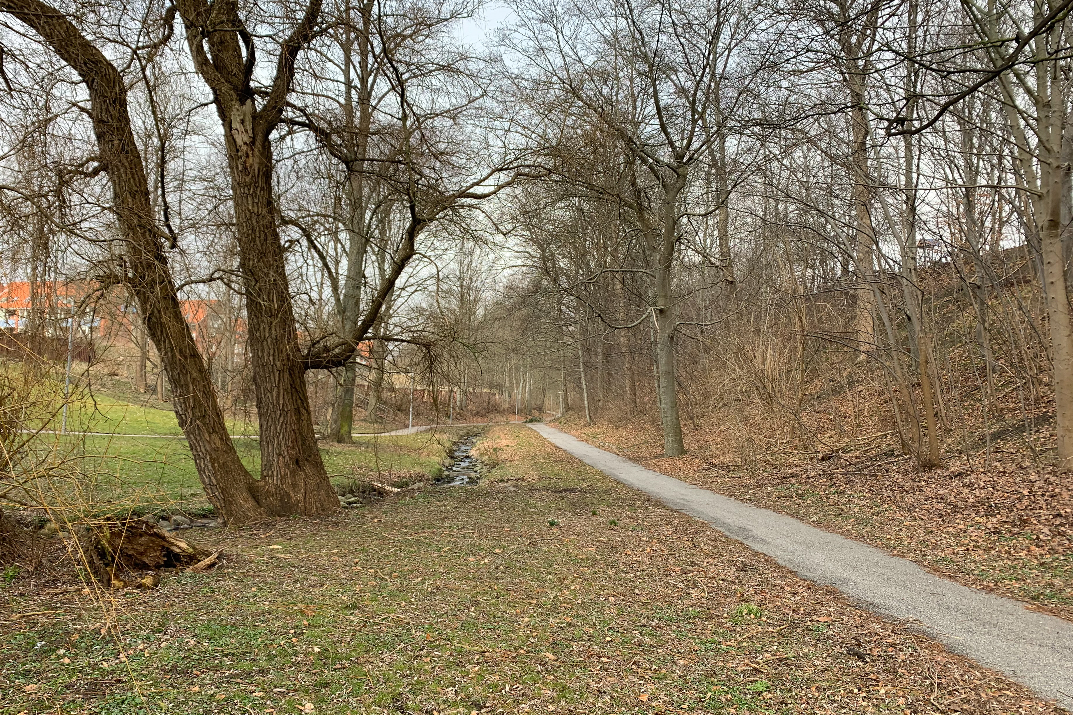 Bækkestien er fredet og bliver bevaret som naturområde