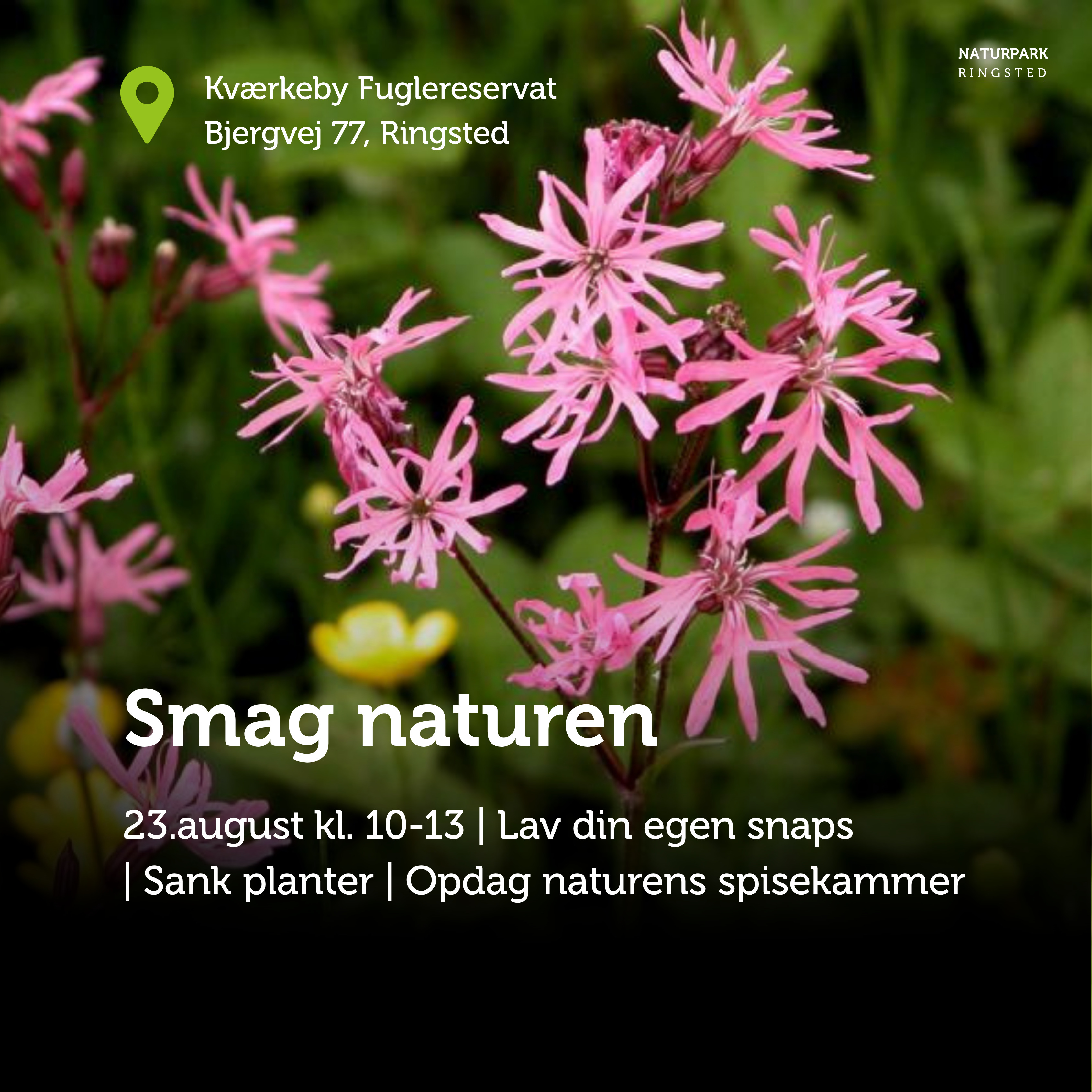 Lær at lave kryddersnaps i Kværkeby Fuglereservat