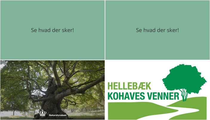 Weekendaktiviteter i Hellebæk: Naturmysterier og vilde blomster