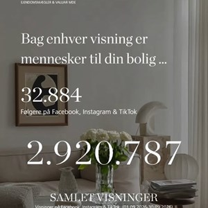 Opslagsbillede