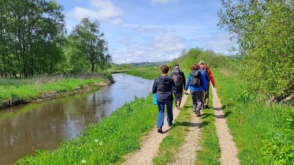 Opdag naturskønne Vejle Ådal: Tag med på et fantastisk vandreophold på Vejle Center Hotel