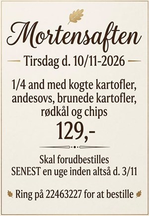 opslagsbillede