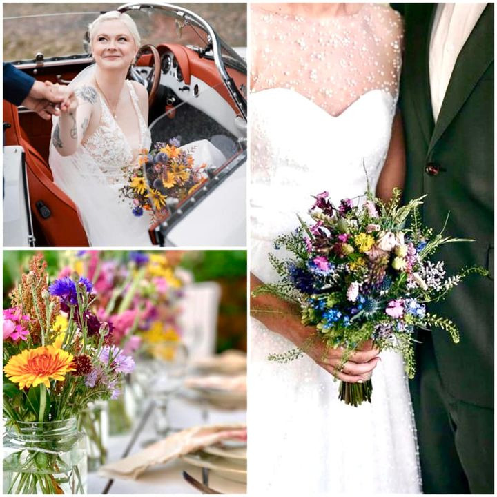 Opslagstavlen: Nyeste opdateringer fra Hadsund