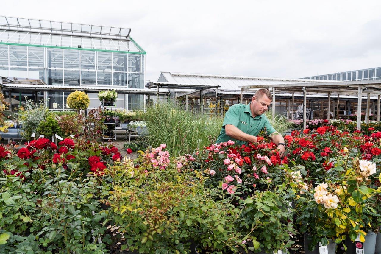 Plantorama i Randers udvider kundeoplevelsen med flere haveplanter